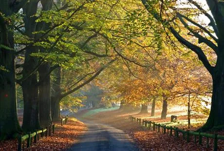 Archiwalne zdjęcie — Już wkrótce wycieczka do Mote Park