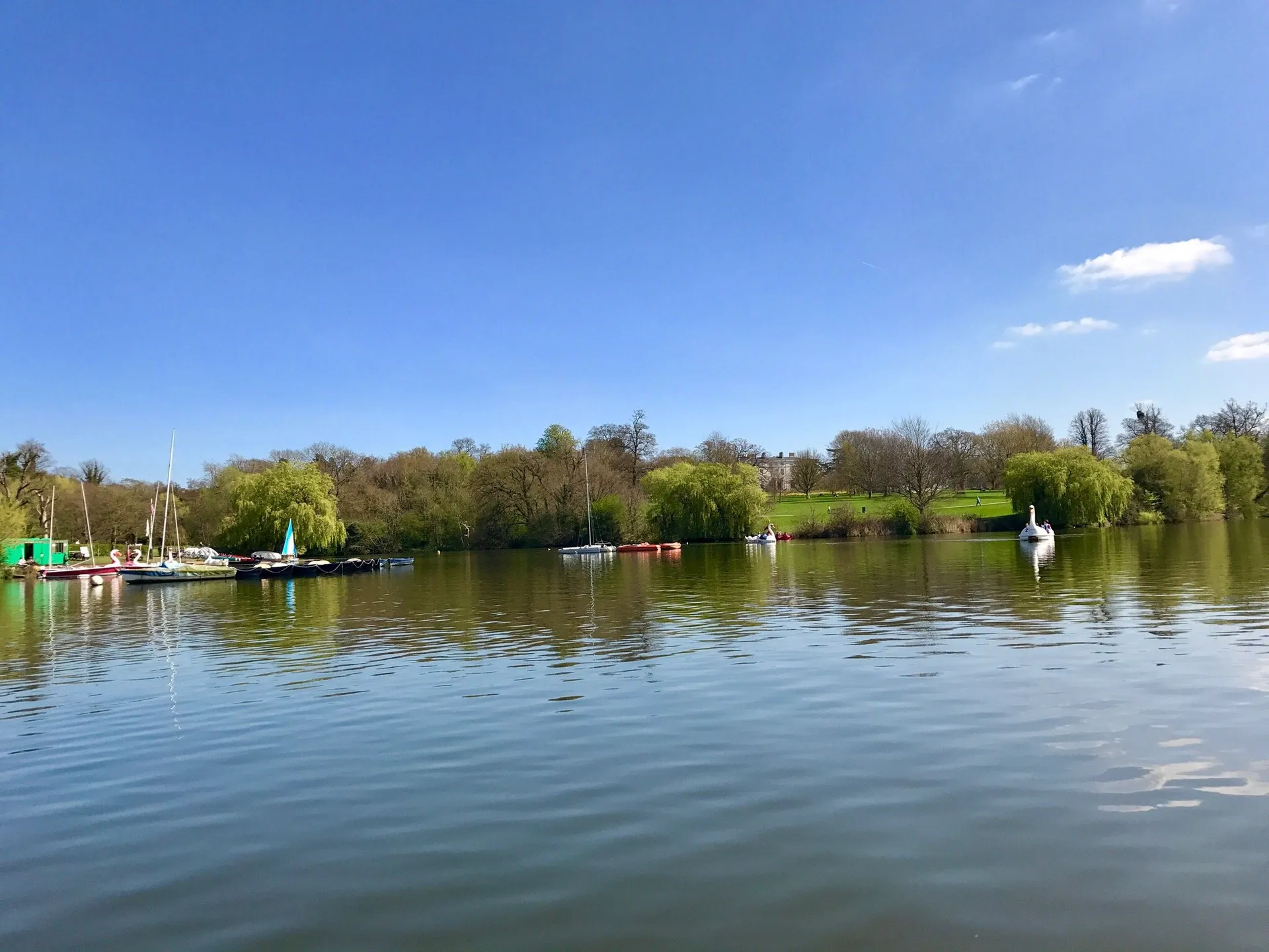 Coming soon: a trip to Mote Park — photo 4