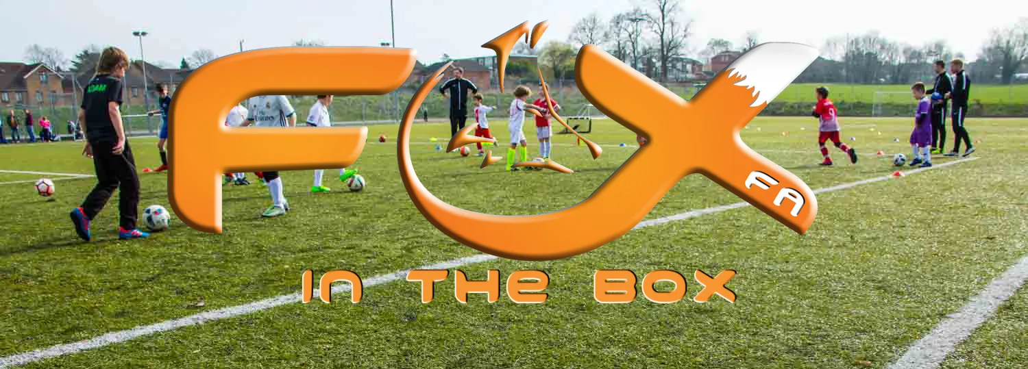1st Fox in the Box Tournament 1 v 1 — zdjęcie 2