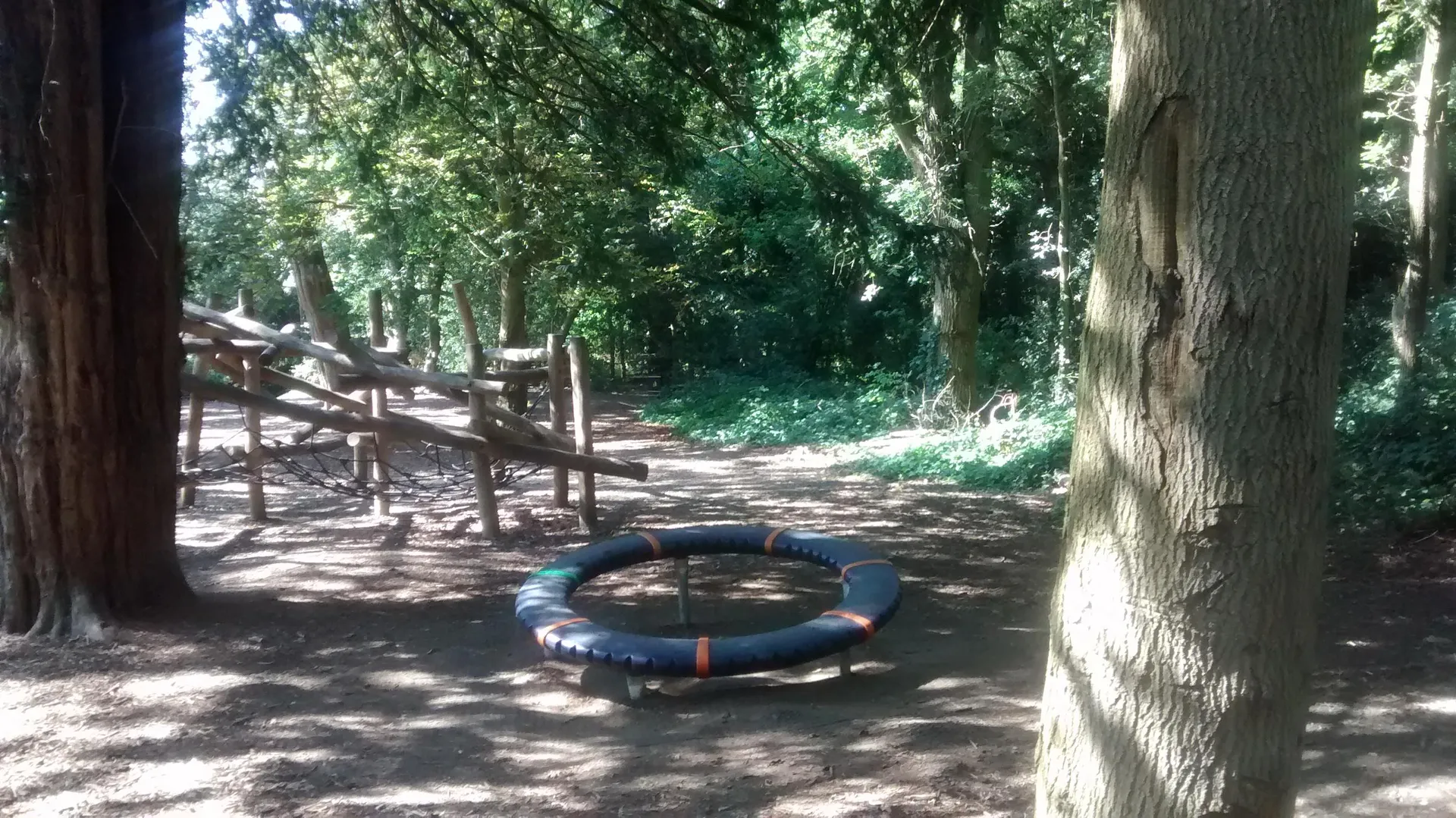Coming soon: a trip to Mote Park — photo 7