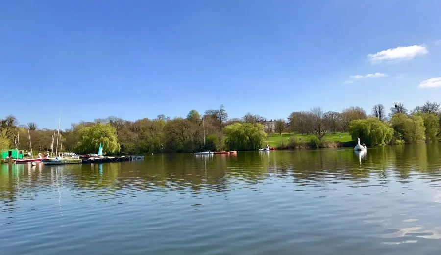 Coming soon: a trip to Mote Park — photo 10